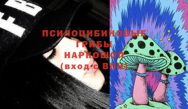 spice Бородино