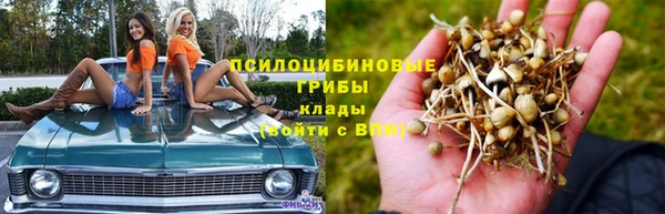 ешки Бронницы