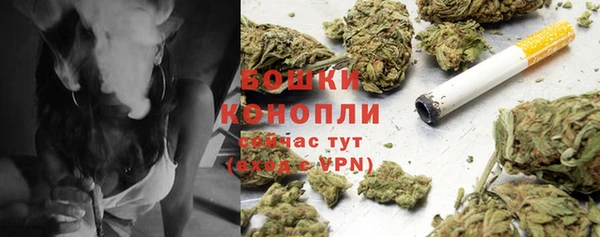 spice Бородино